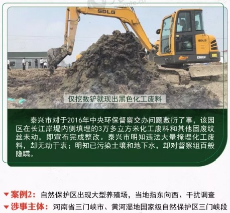 中央环境保护督察